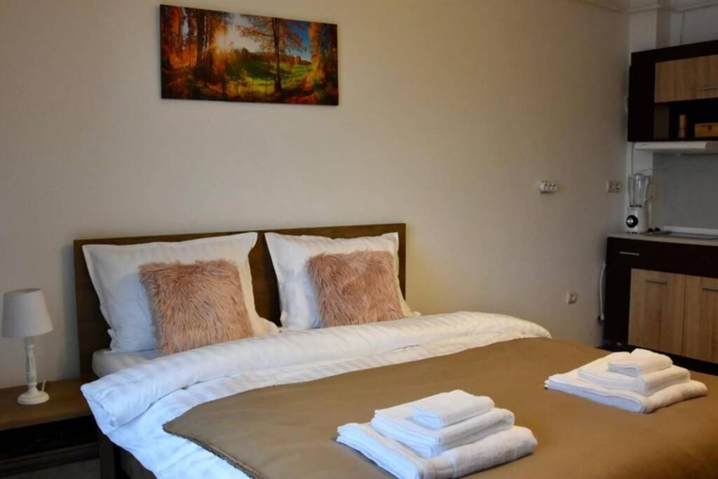 Pricop Residence Бая Маре Екстериор снимка